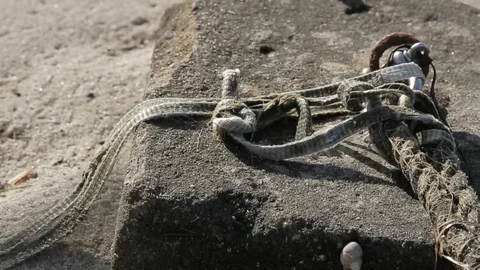 Cement slab used to tie down boats, day. Vídeo Stock 105867031