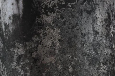 Cement surface Stock-Fotos