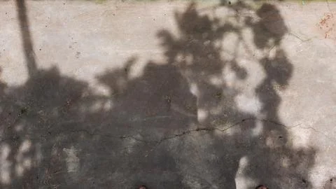 Cement texture background with leaf shadows Stock Photos