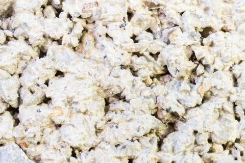 Cement Texture of Cement Wall Background Close Up View Photos