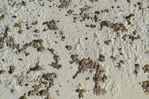 Cement Texture Closeup View Fotos de archivo