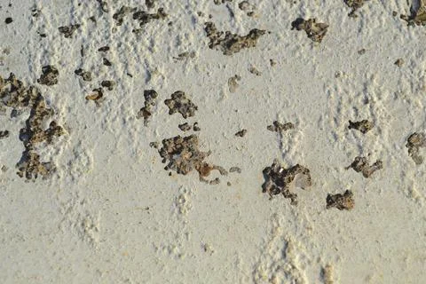 Cement Texture Closeup View Fotos Stock