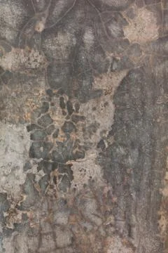 Cement texture Stock Photos