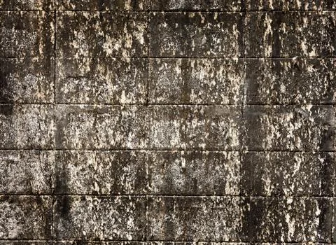 Cement texture surface Stock Photos