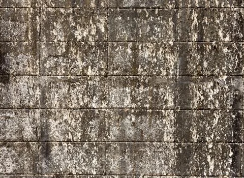 Cement texture surface Stock-Fotos