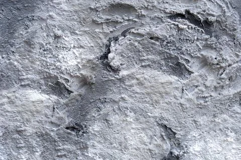 Cement wall background. Gray plaster texture with silver and white spots. Stock Photos
