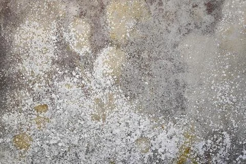 Cement wall covered with algae Stock Photos
