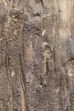 Cement wall Stock Photos