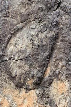 Cement wall Stock Photos