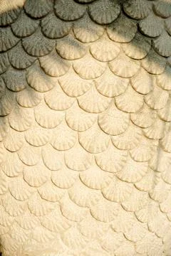 Cement wall Stock Photos