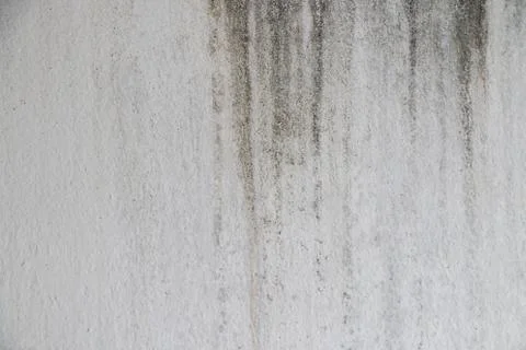 Cement wall Stock Photos