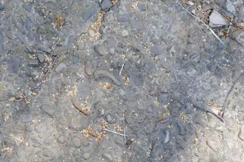 Cement Wall Texture 2 Stock Photos