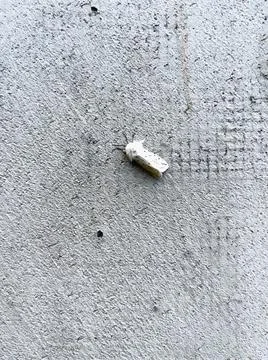 Cement Wall texture and a nightbug close up Stock Photos