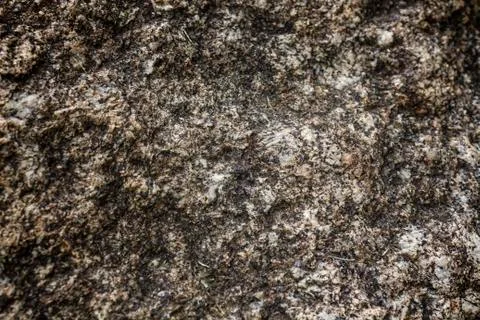 Cement wall texture Foto stock