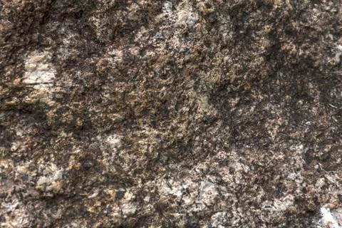 Cement wall texture Stock Photos