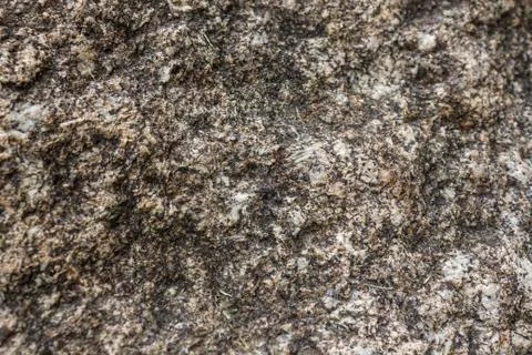 Cement wall texture Stock Photos