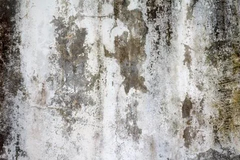 Cement wall texture Stock Photos