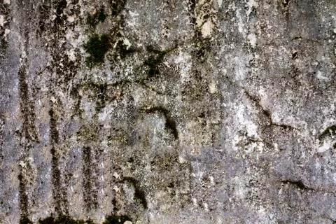 Cement wall texture Stock Photos