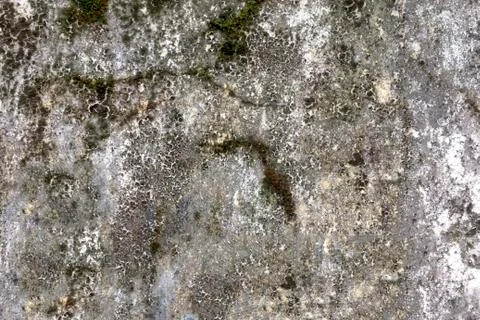 Cement wall texture Foto stock