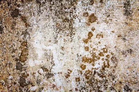 Cement wall texture Stock Photos