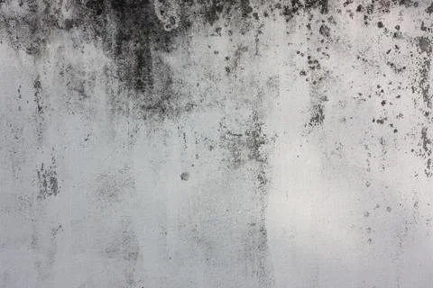 Cement wall textured Stock Photos
