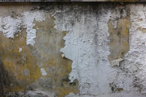 Cement wall textured Stock Photos