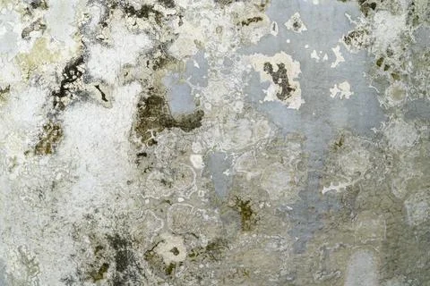 Cement wall white background or concrete texture. Stock Photos