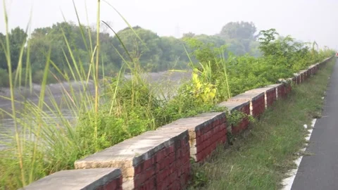 Cemented dividers are installed on the road side boundary for safety and tre 動画素材 217532050