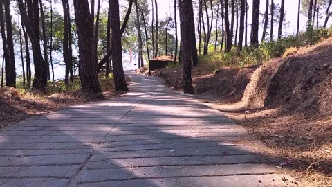 Cemented path with pine tree along with flag at hamirpur himachal pradesh in Stock Footage 308020049