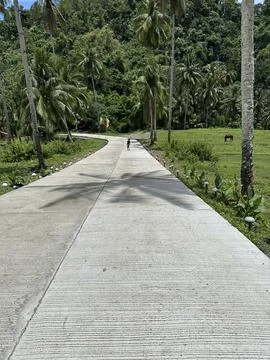 Cemented road Stock Photos