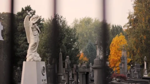 Cementery Angel Statue With A Clear Sky And Trees Stock Footage 127032001