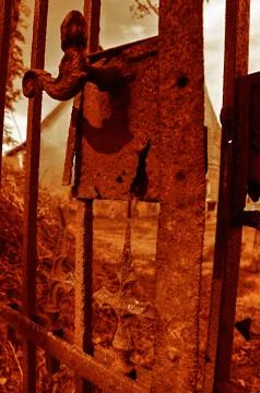 Cementery Stock Photos