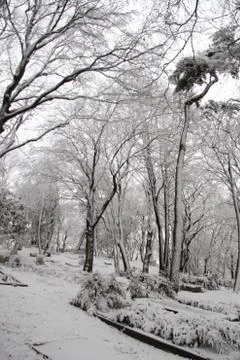 Cementery in the snow Stock Photos