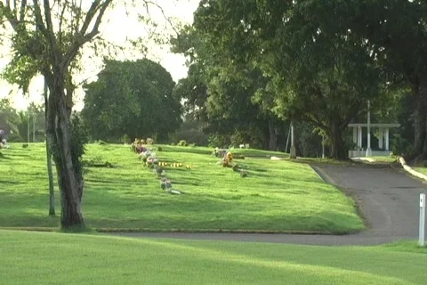 Cementery view befor sunset Stock Footage 827770