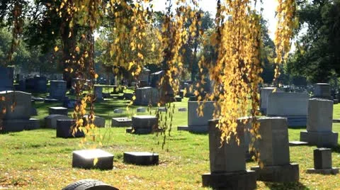Cemetary 02.mp4 Stock Footage 8927800