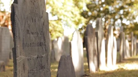 CEMETARY 1 動画素材 84694675