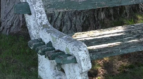 Cemetary Bench Close-up Stock Footage 7752030