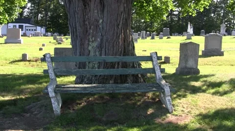 Cemetary Bench Stock Footage 7752113