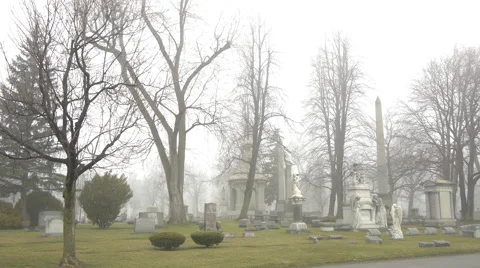 Cemetary in Fog Stock-Footage 55009673