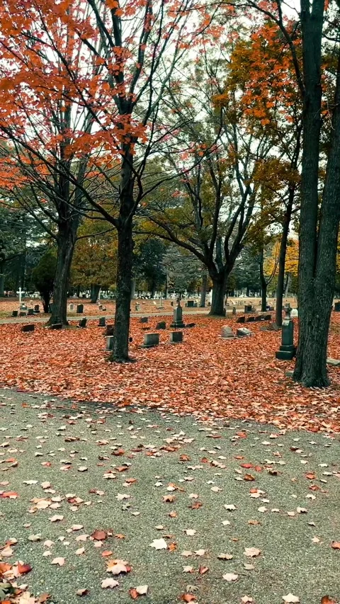 Cemetary Stock Footage 279523734