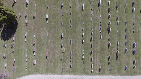 Cemetary3 Video stock 81551733