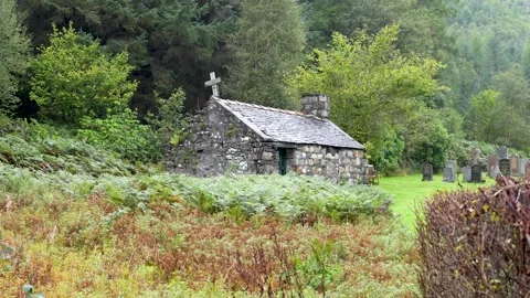 Cemetery 1 Stock Footage 263146867