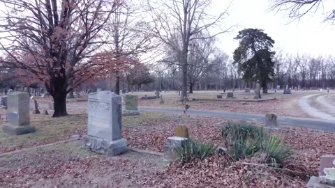 Cemetery 12 Video stock 231915828