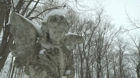 Cemetery 13 Stock Footage 1018845