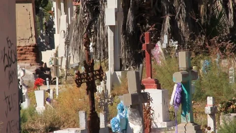 Cemetery 3 Stock Footage 1132046
