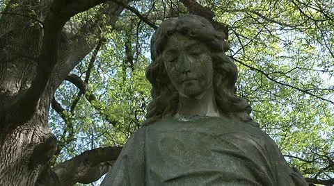CEMETERY 5 Stock Footage 11193215