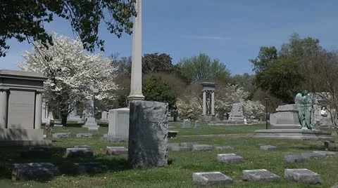 CEMETERY 6 Video stock 11193323