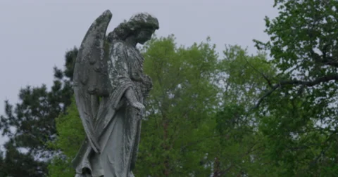 Cemetery Angel Vídeo Stock 55016549