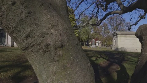 Cemetery in Autumn Stock-Footage 76837066
