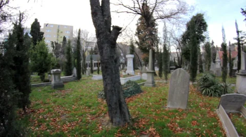 Cemetery With Camera Panning Right Wide Canvas Vidéo 36781473